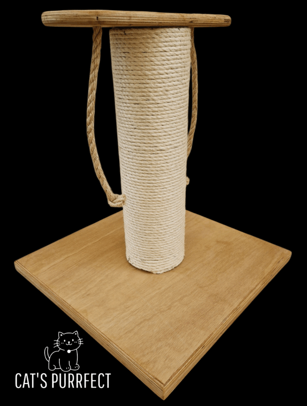 KIT001