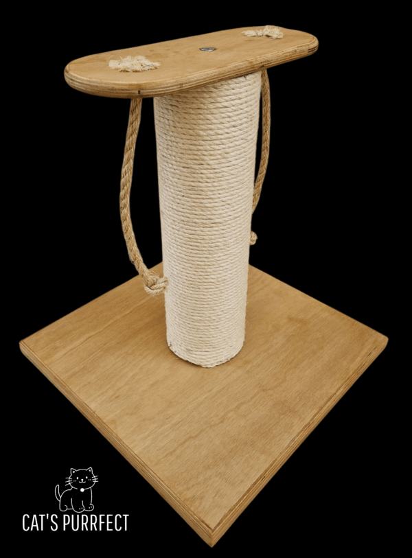 KIT001