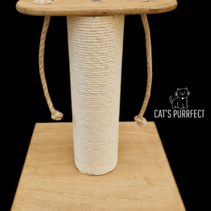 KIT001